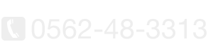 0562-48-3313